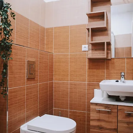 Apartment Vratislavacek *